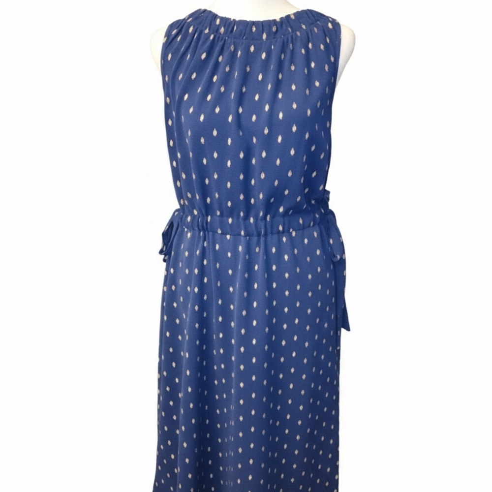 Juicy Couture Blue and White Maxi Dress